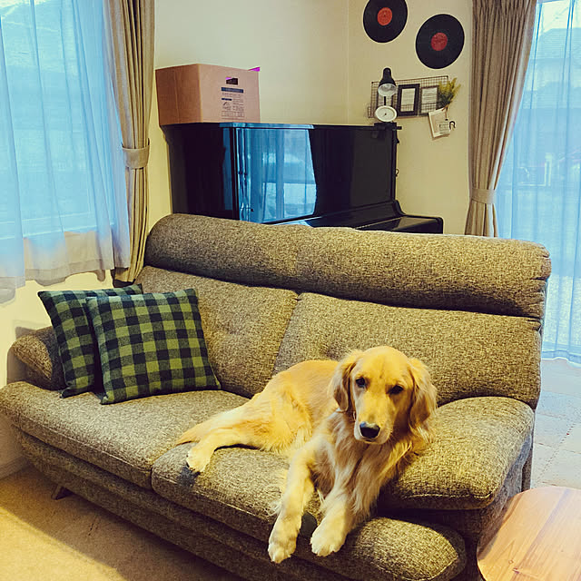Royさんの実例写真
