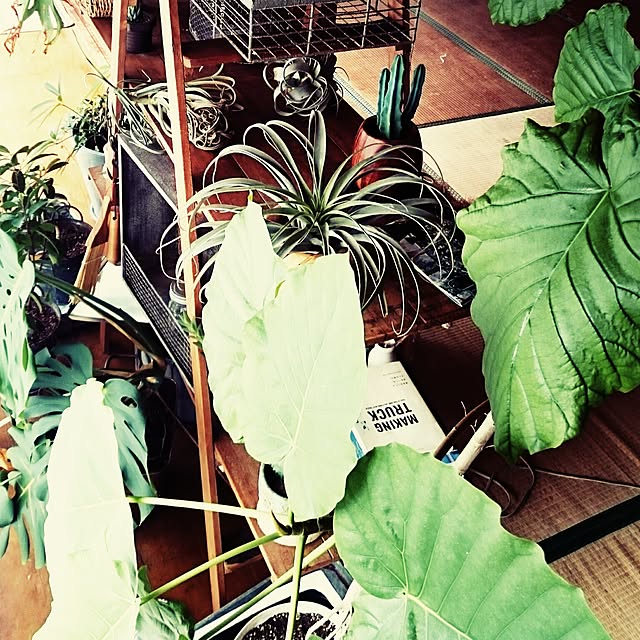 takenさんの実例写真