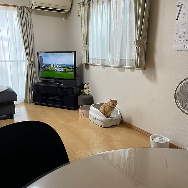 chiiさんの実例写真