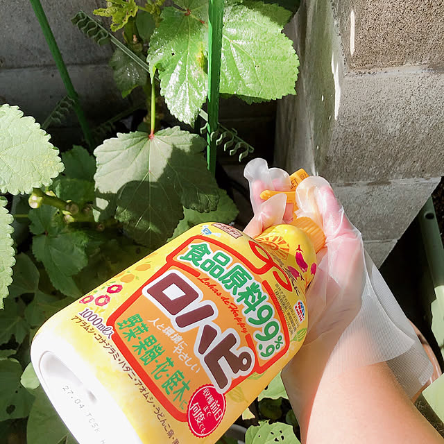 Ururuさんの実例写真