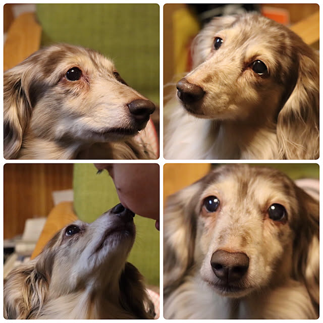 Eikoさんの実例写真