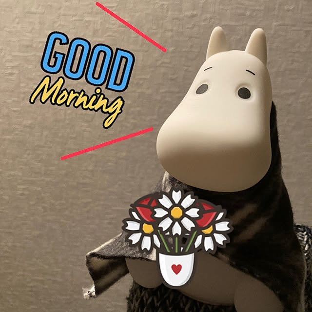 manduonmaさんの実例写真