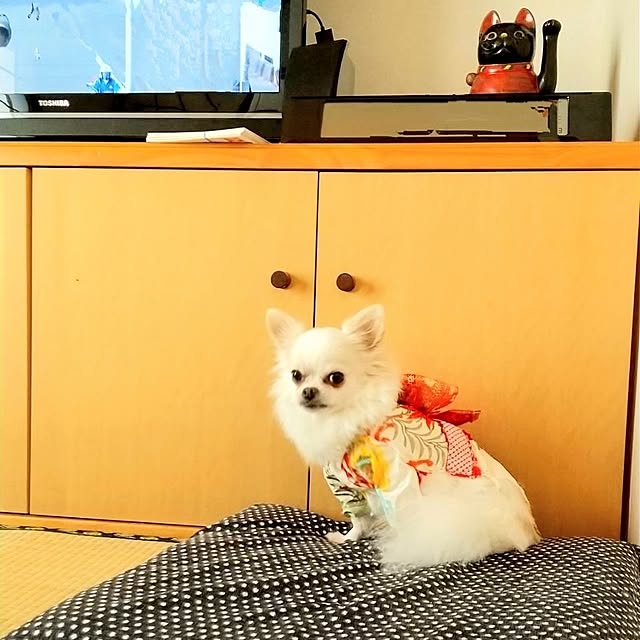 runaさんの実例写真