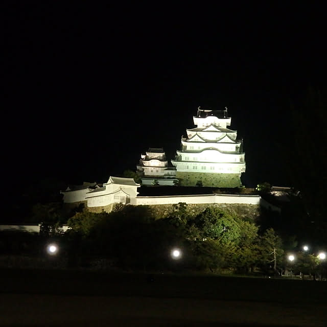 実例写真