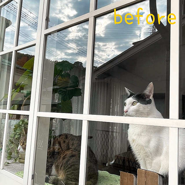 nobikoさんの部屋