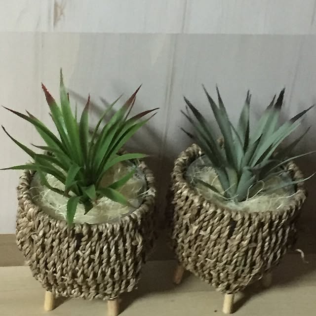 maimaiさんの実例写真