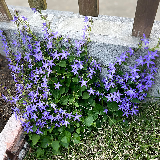 yoshibuさんの部屋