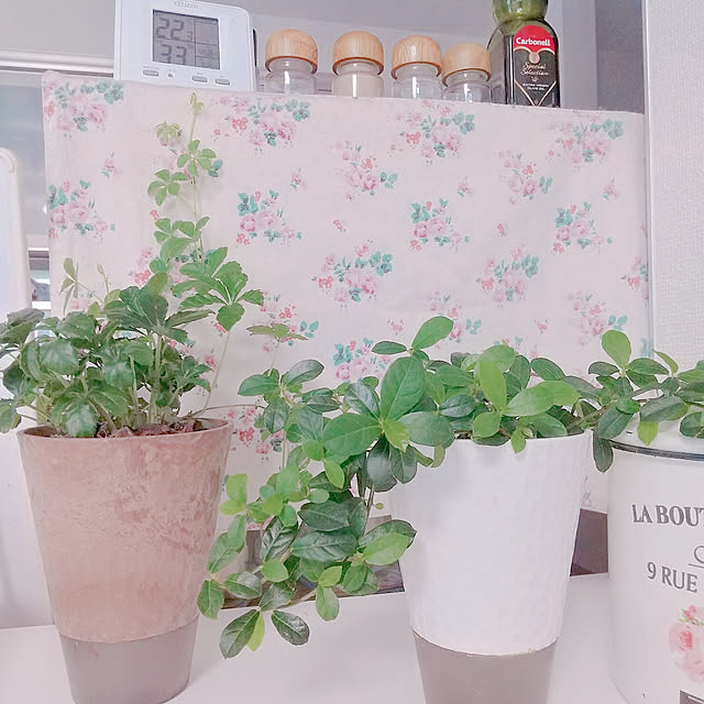 suzuranpaiさんの実例写真