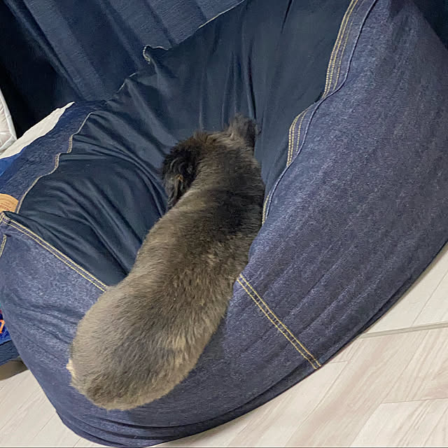 ohanaさんの実例写真