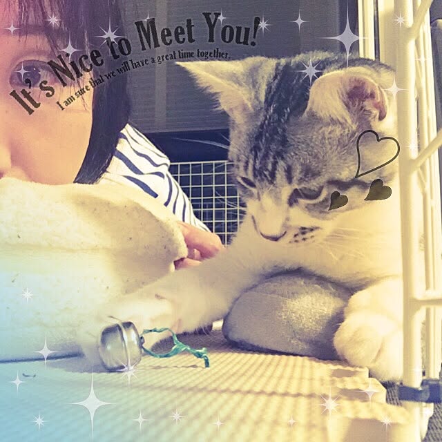 ALPSさんの実例写真