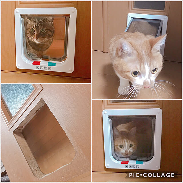 cocomaroさんの実例写真