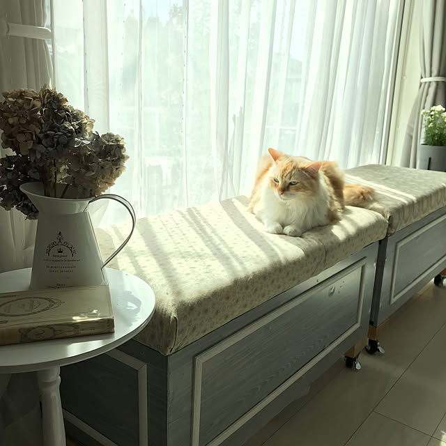 Lippityさんの実例写真