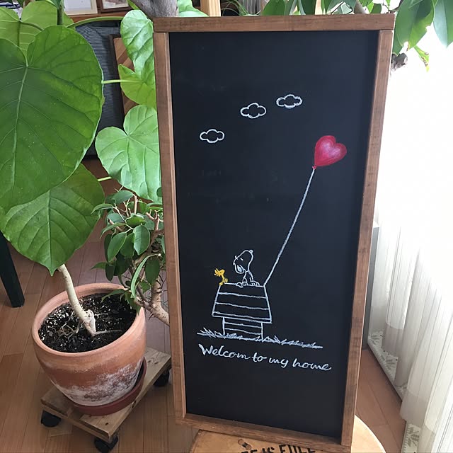 boochanさんの実例写真
