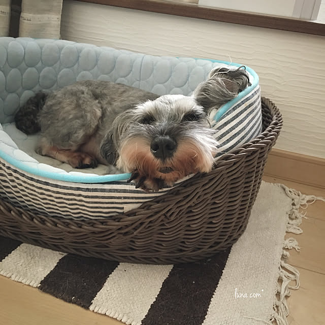 luna.comさんの実例写真