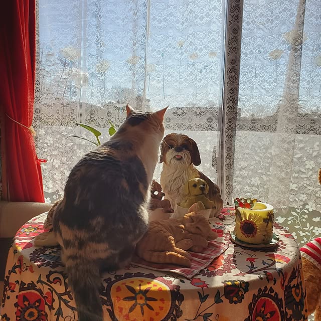 kumutanさんの部屋