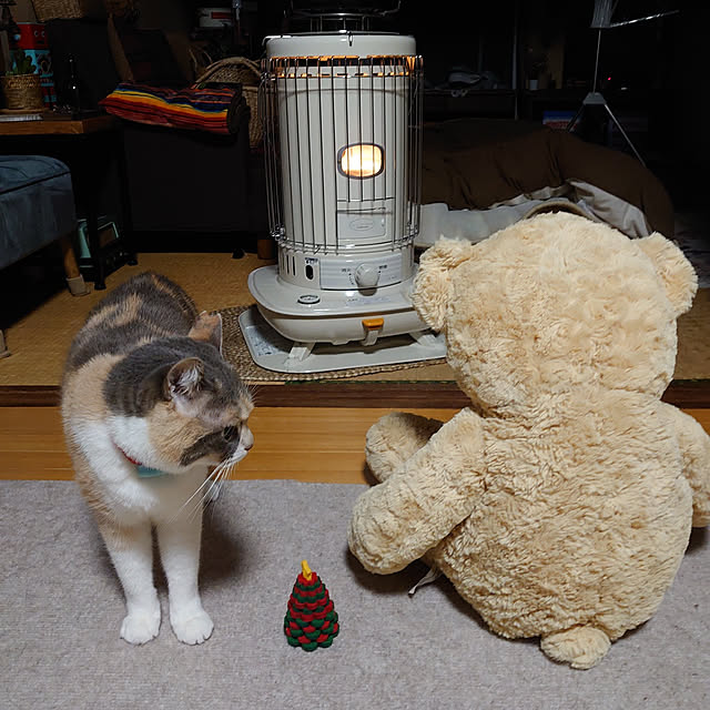 fukuさんの実例写真