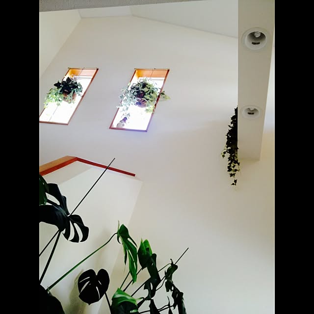 mymiさんの実例写真
