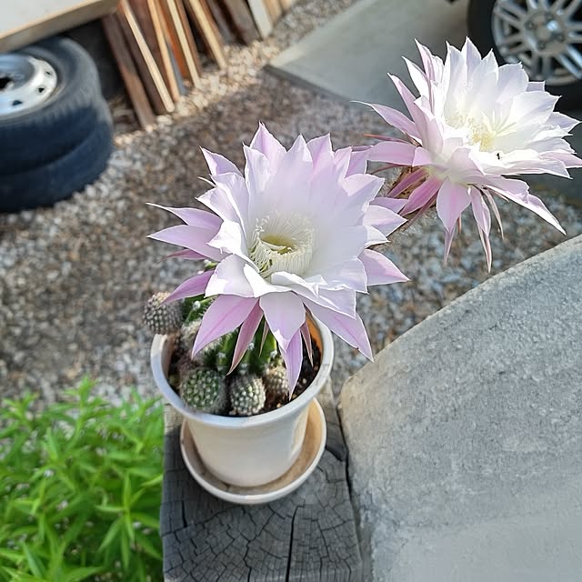 t.yumiさんの部屋