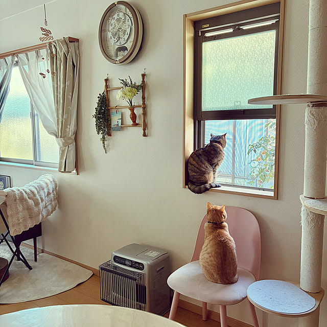 chiiさんのお部屋の写真