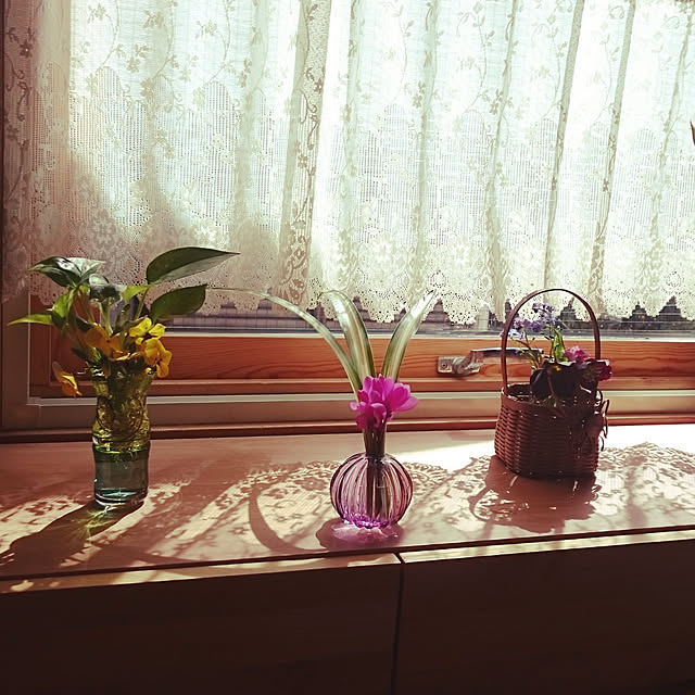 botanさんの実例写真