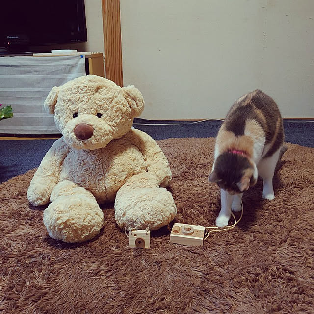 fukuさんの実例写真