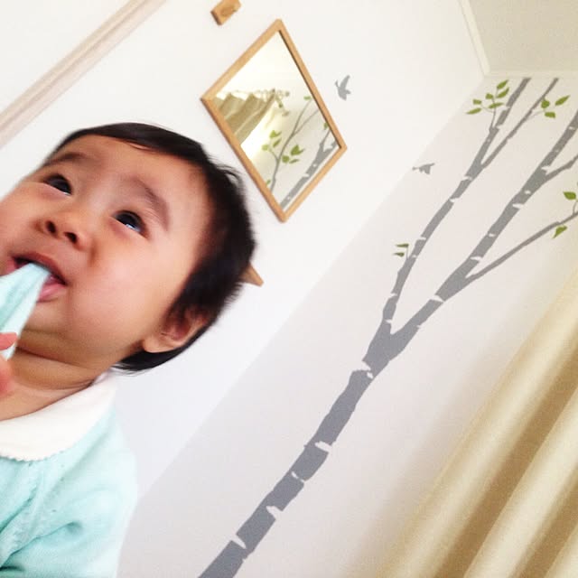333さんの実例写真