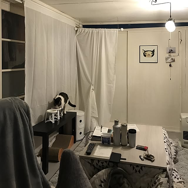 Shihoさんの実例写真
