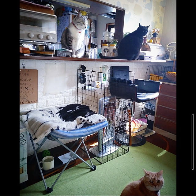 mntcさんの実例写真