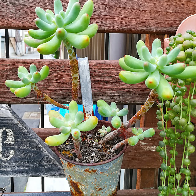 VERANDARJUNさんの実例写真