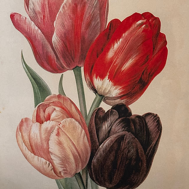 okyame-chanさんの部屋