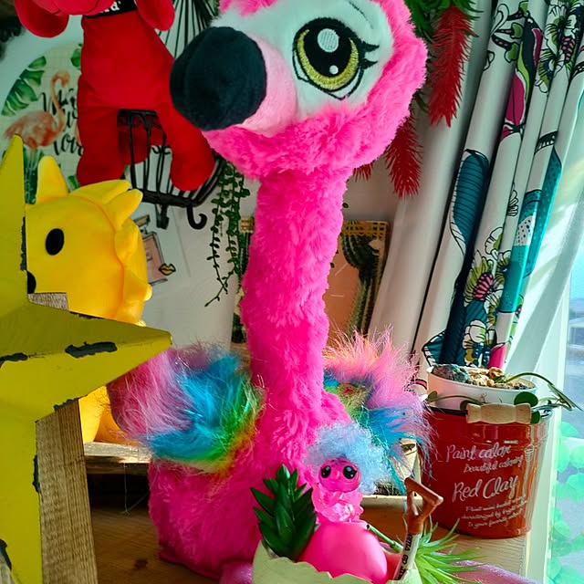 nacchanさんの部屋