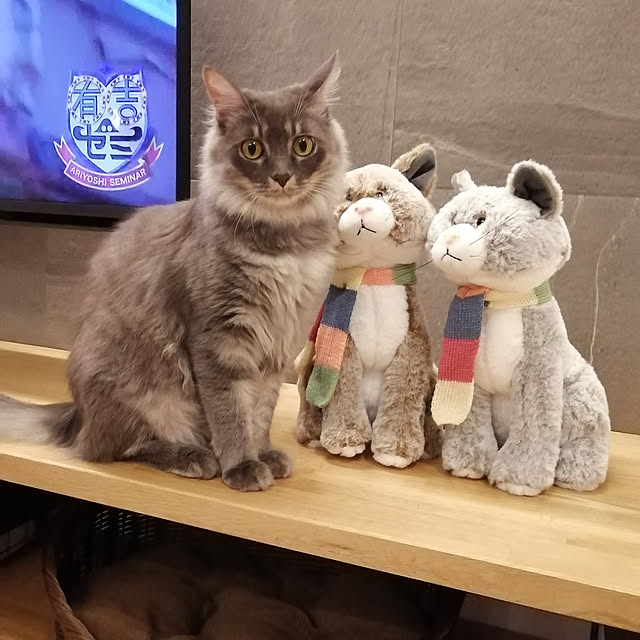 asukaさんの実例写真