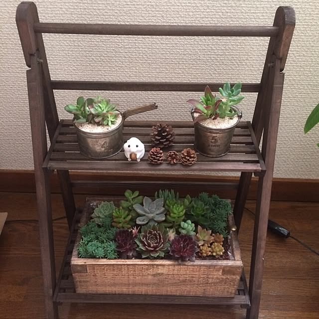 Rさんの実例写真