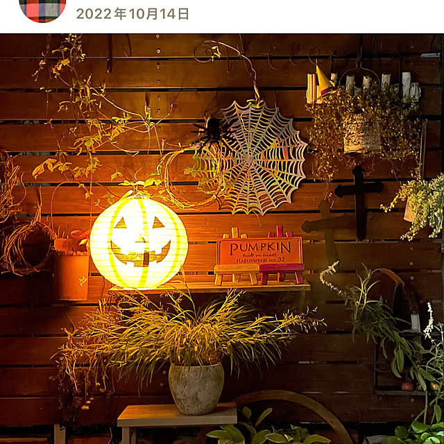 nobikoさんの部屋