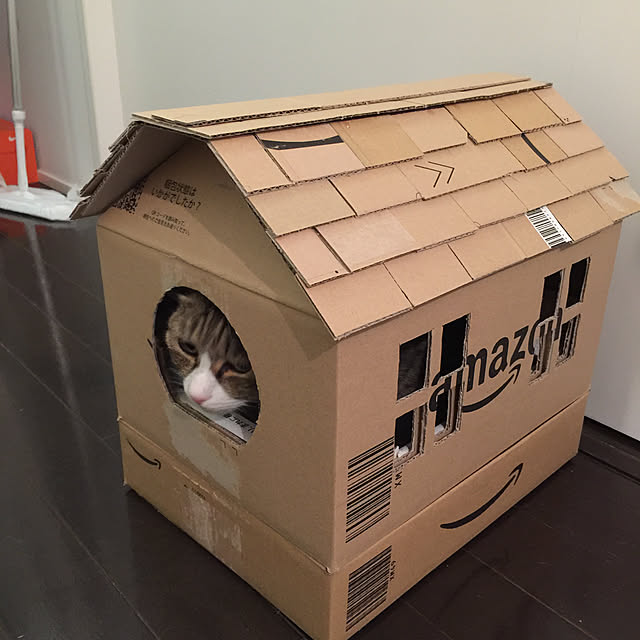 peach_catさんの実例写真