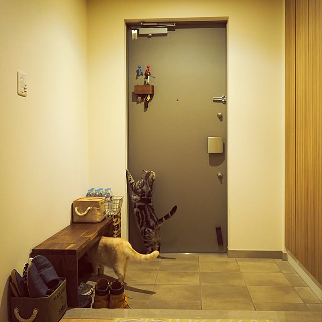 y.k.0123さんの実例写真