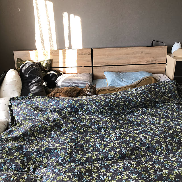 kuu511さんの実例写真