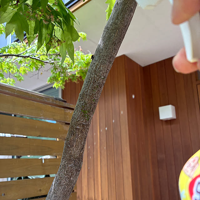 mirutanさんの部屋