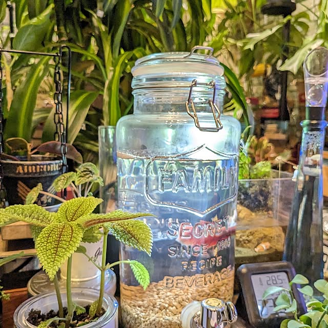 GINさんの部屋