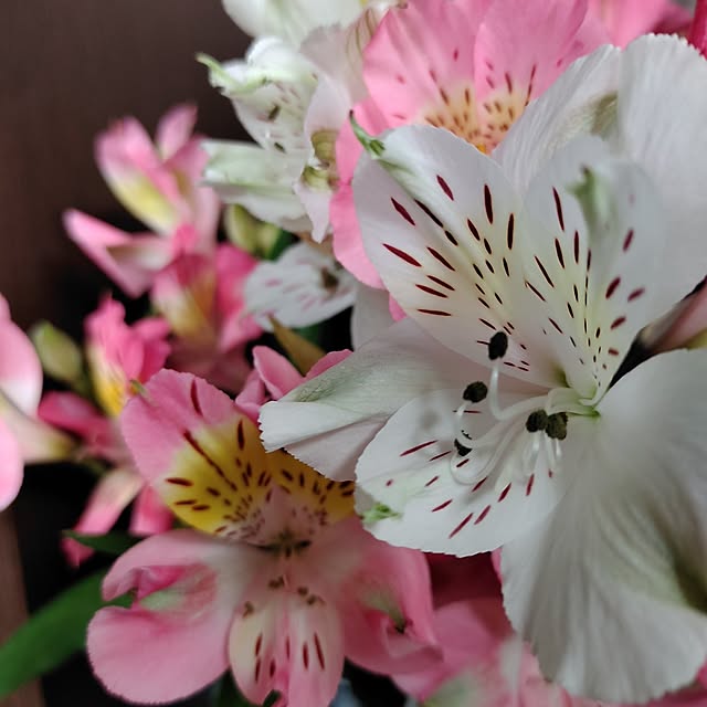 kiraさんの部屋