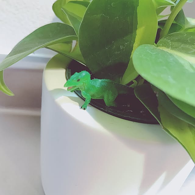 yuさんの実例写真