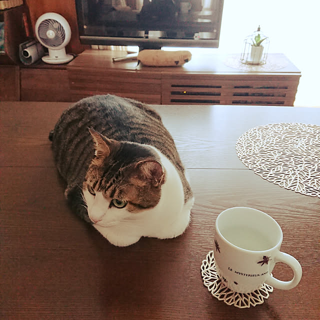 nachiさんの実例写真