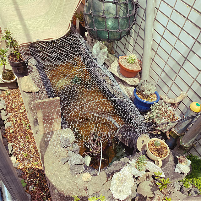 yumiさんの実例写真