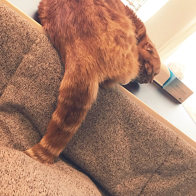 randebuさんの実例写真