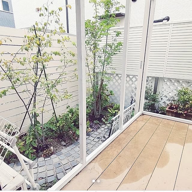 Bienvenueさんの部屋