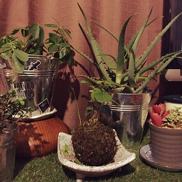 manahanさんの実例写真