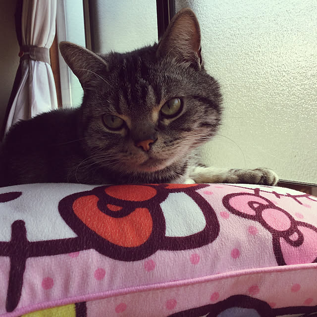 richanさんの実例写真