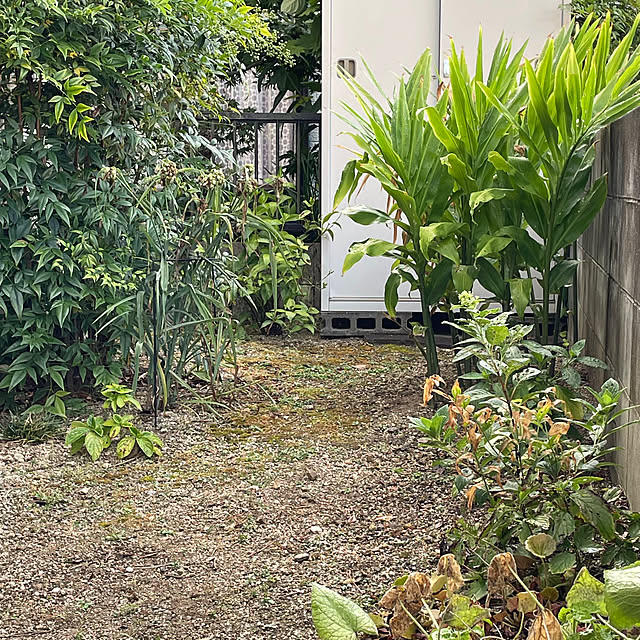 nobikoさんの部屋