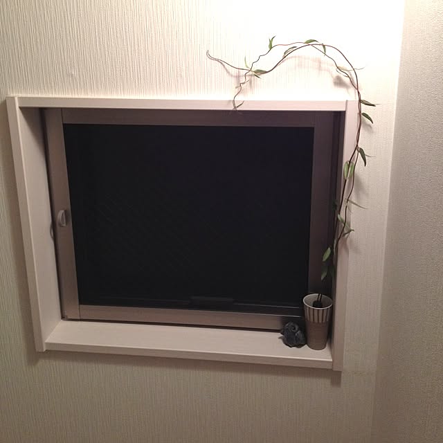 dicekbeetleさんの実例写真