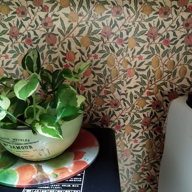 yasue.ichnoさんの部屋